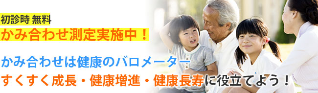 かみ合せ検査・咬合検査 ／ 宇都宮市の歯医者さん ／ おのざき