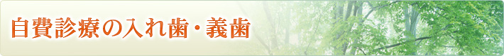 自費診療の入れ歯・義歯